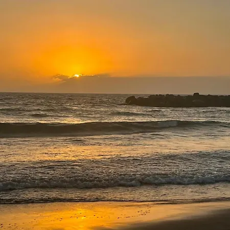 En Primera Línea De Playa, Céntrico, Tranquilo Apartamento Playa de las Américas